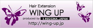 Hair Extension WING UP
